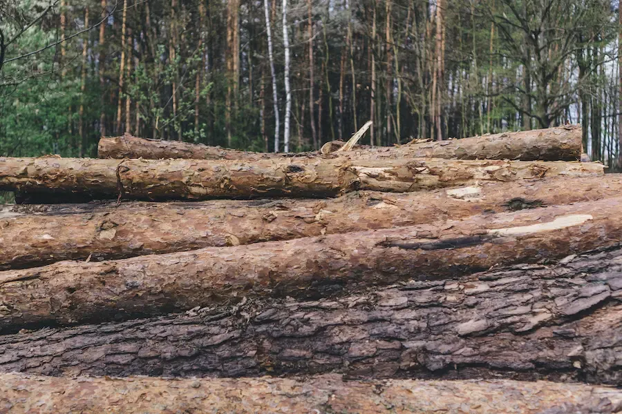 Deforestation
