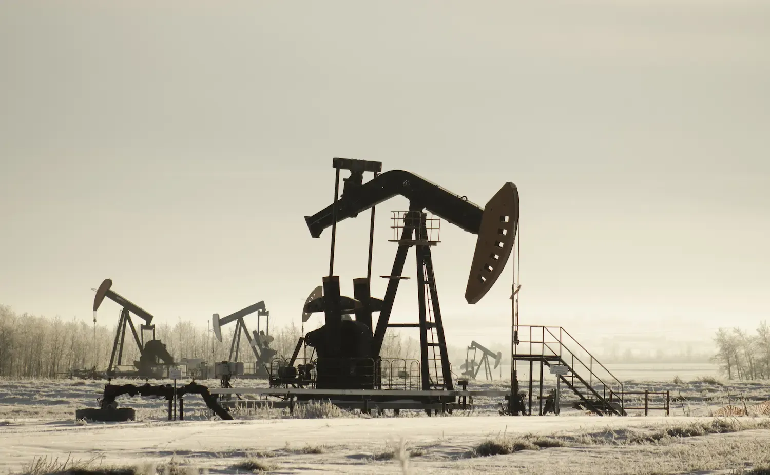 Oil Extraction